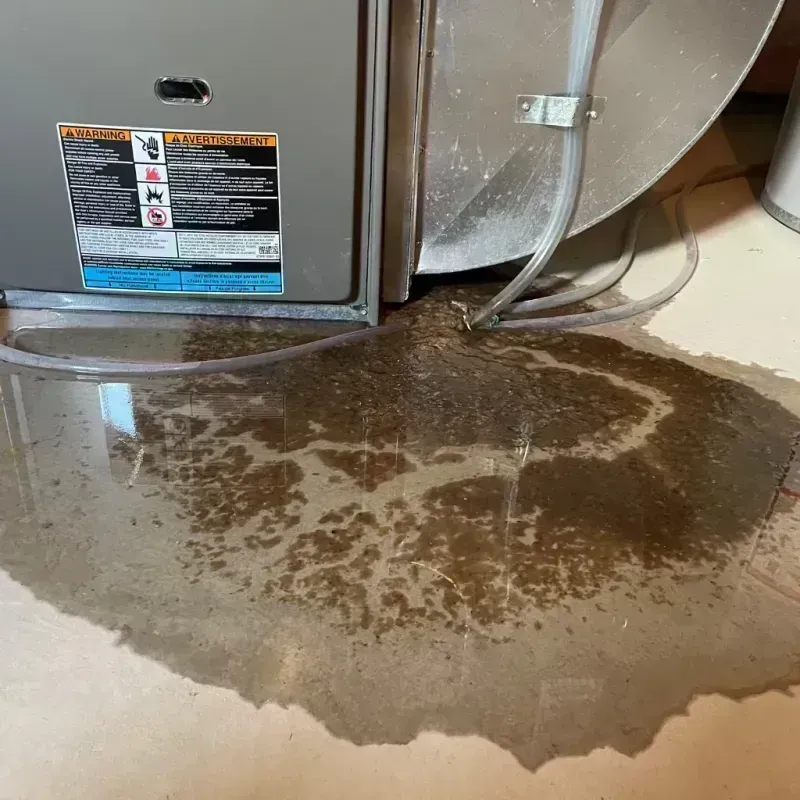 Appliance Leak Cleanup in Barrow County, GA